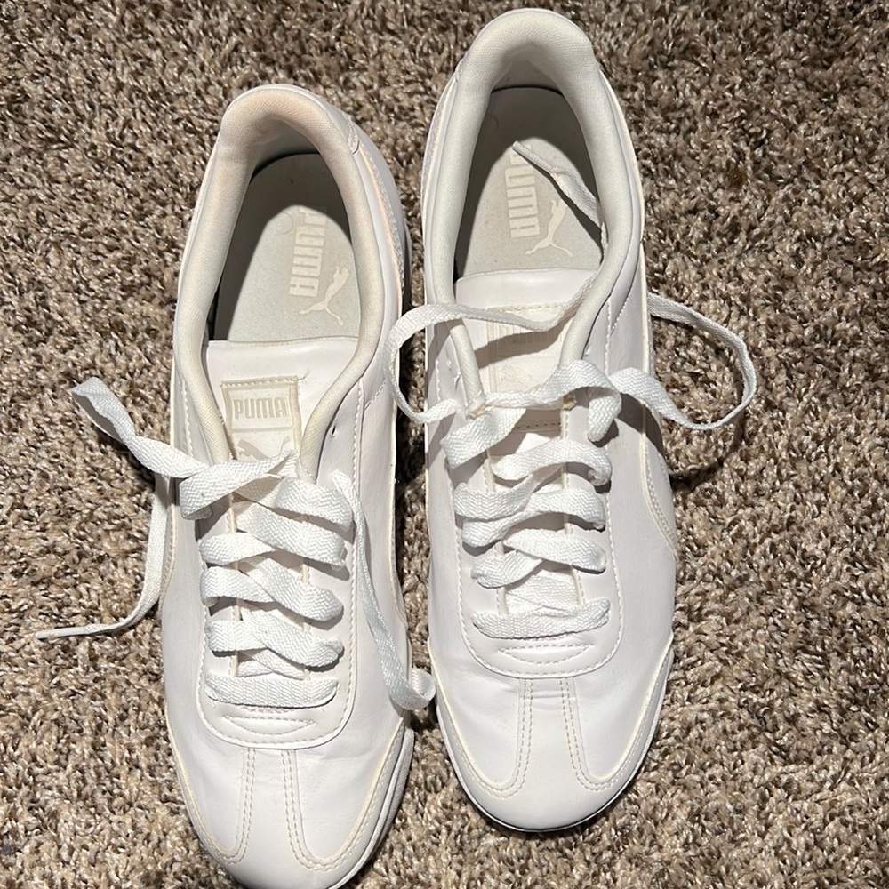Pumas